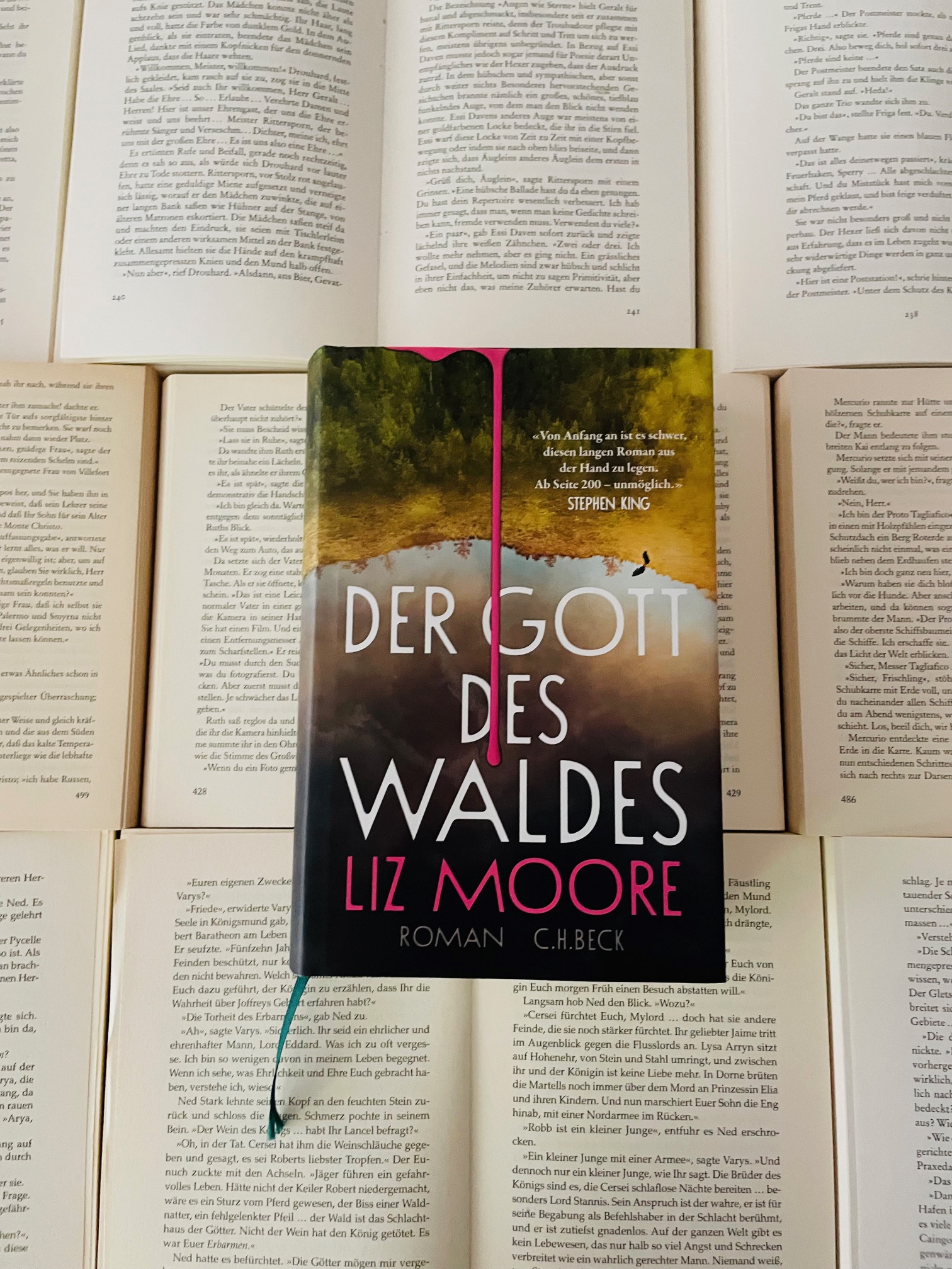 Buchcover: Der Gott des Waldes